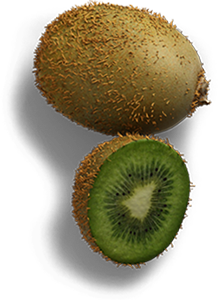 Frukt-Kiwi