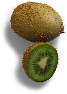 Frukt-Kiwi