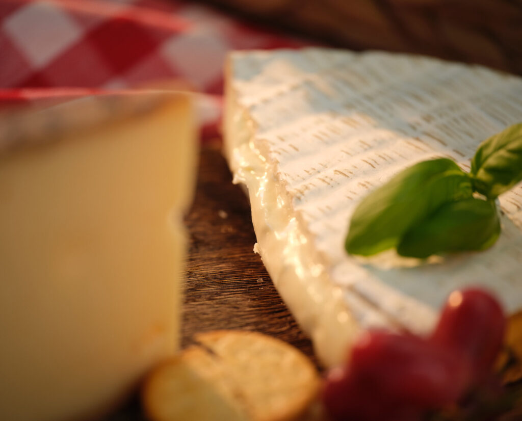 Tips på ostar till ostbricka